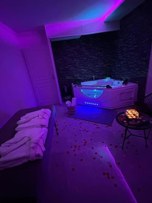 T3 5 Etoile Jacuzzi Apartment Toulouse Luaran gambar