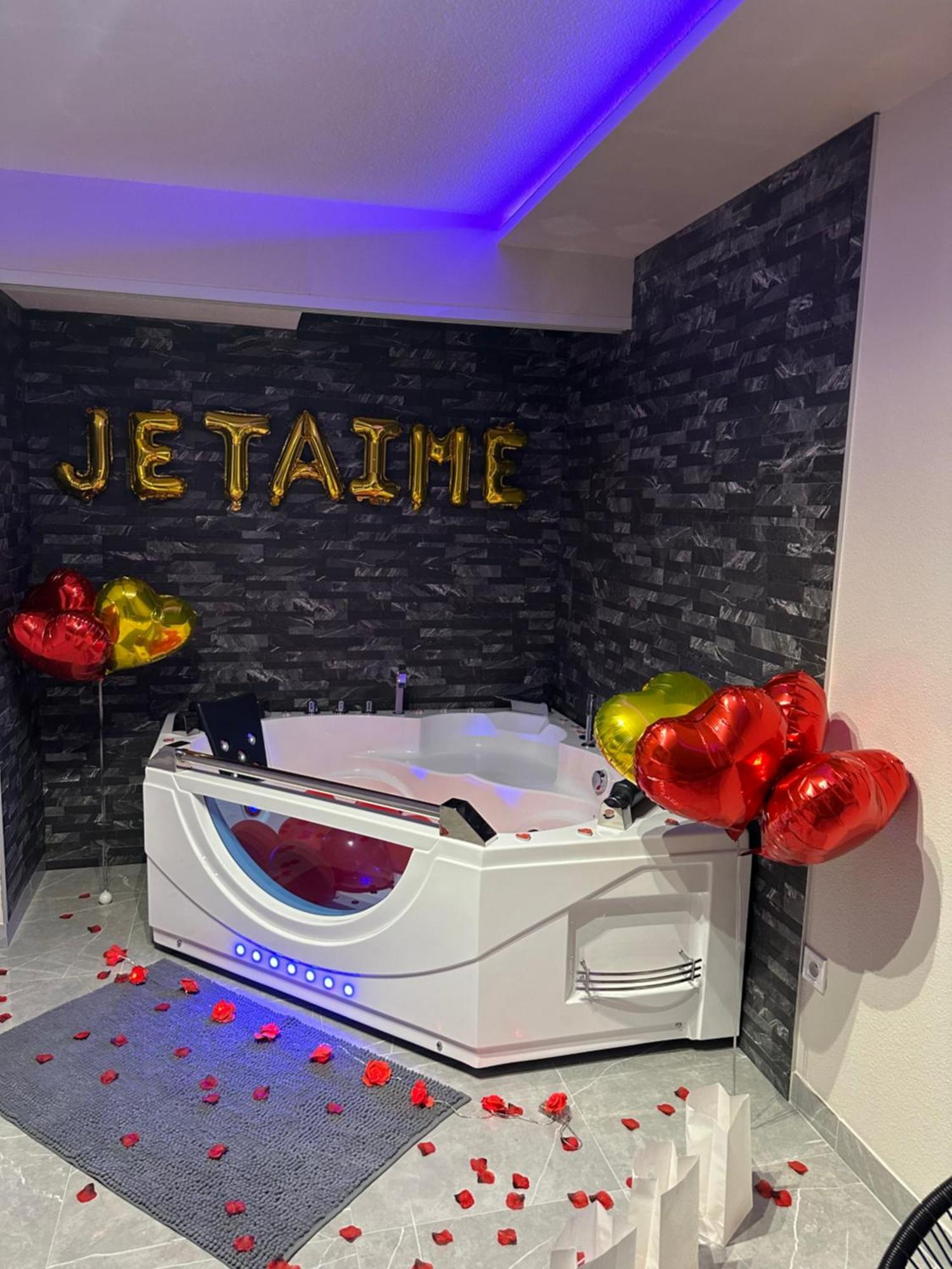 T3 5 Etoile Jacuzzi Apartment Toulouse Luaran gambar